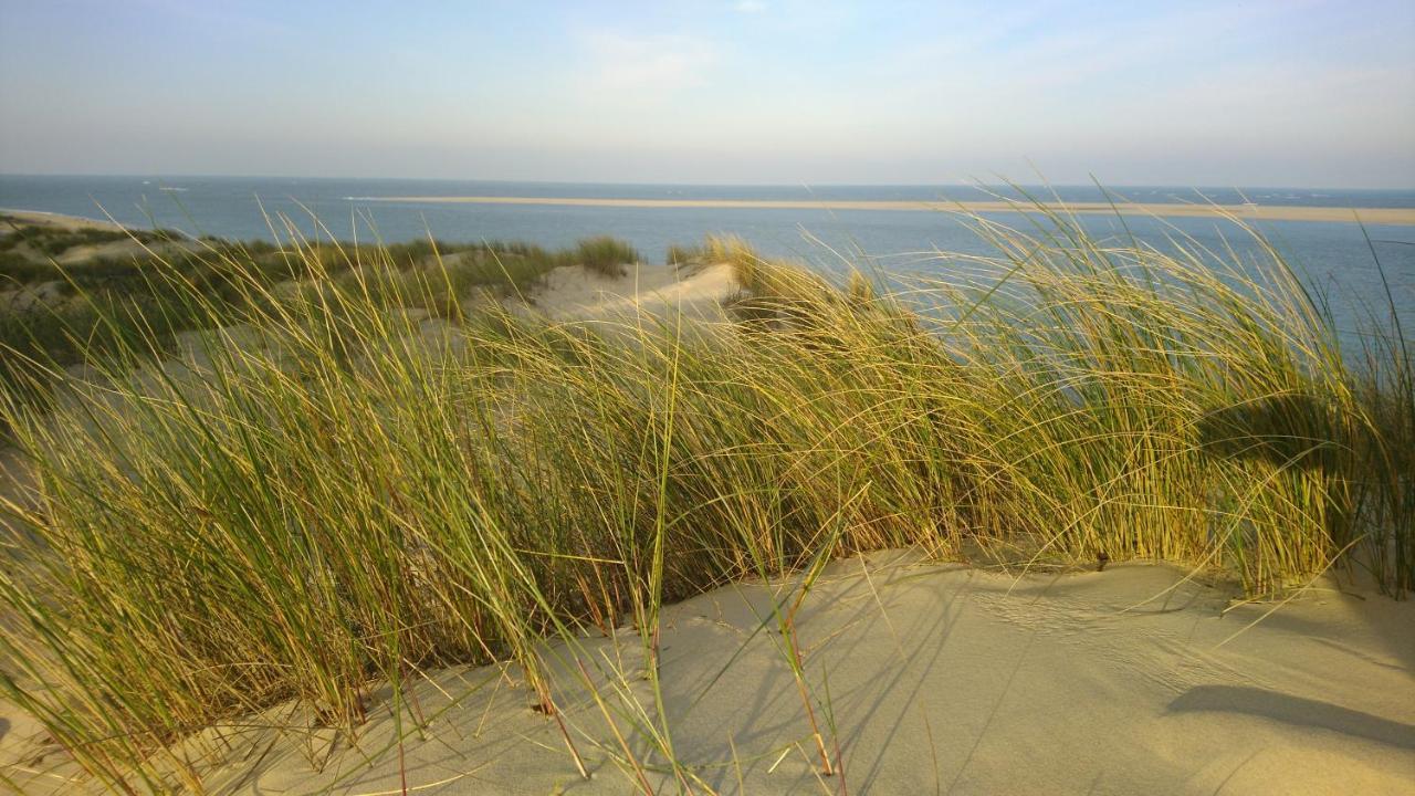 Cottage La Dune Avec Piscine Les Cigales Du Bassin A Gujan-Mestras Εξωτερικό φωτογραφία
