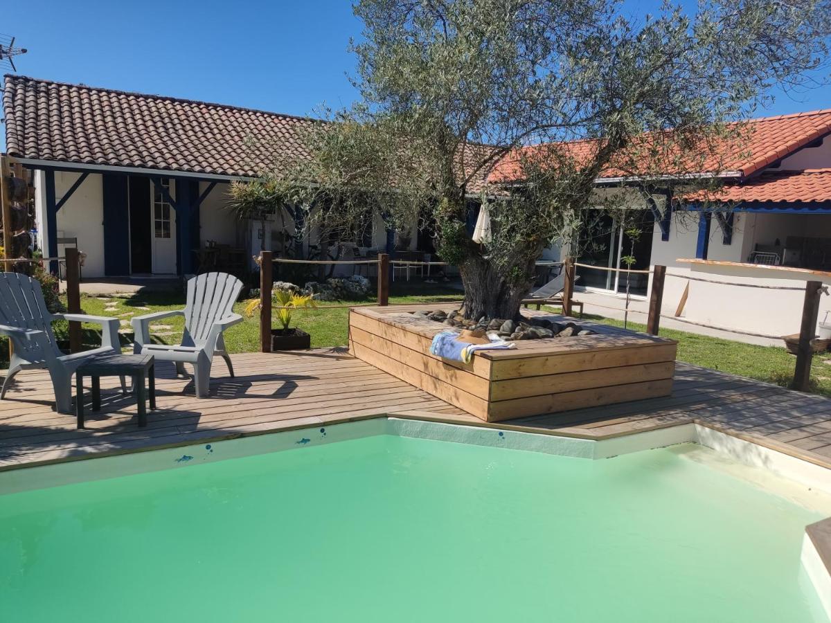 Cottage La Dune Avec Piscine Les Cigales Du Bassin A Gujan-Mestras Εξωτερικό φωτογραφία